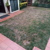 Construção De Jardim
