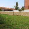 Remodelação de jardim