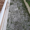 Outros Trabalhos De Jardinagem