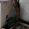 Outros Trabalhos Jardinagem