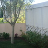 Poda de oliveira