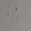Reparação tecto casa de banho interna