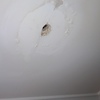 Reparar teto falso e pintura em wc