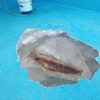 Deteção E Reparação De Vazamento De Piscina