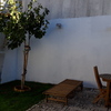 Pintar Muro