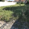 Construção De Jardim