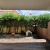 Remodelação De área De Lazer