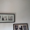 Pintar Casa