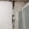 Impermeabilização De Casa