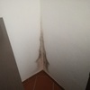 Deteção E Impermeabilização De Infiltrações