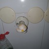 Outros Trabalhos De Gás