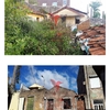 Limpeza De Terreno