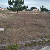 Limpeza De Terreno