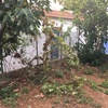 Manutenção De Jardim