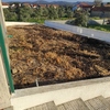 Construção De Jardim