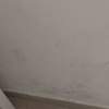 Pintar Casa