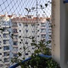 Cortinas De Vidro