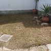 Outros Trabalhos De Pedreiro