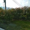 Fabrico E Instalação De Gradeamento