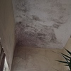 Pintar Casa