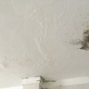 Outros Trabalhos De Pintura