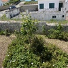 Manutenção De Jardim