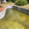 Outros Trabalhos De Construção Piscina