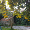 Construir Piscina