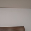 Pintar Casa