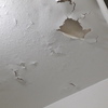 Outros Trabalhos De Pintura