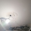 Outros Trabalhos De Remodelação Casa De Banho