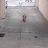 Remodelação De Pátio E Varanda