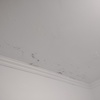 Outros Trabalhos De Pintura