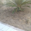 Outros Trabalhos De Jardinagem