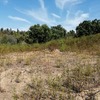 Nivelamento De Terreno