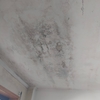 Teto Falso Em Gesso Cartonado