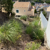 Limpeza De Terreno