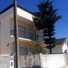 Outros Trabalhos De Jardinagem