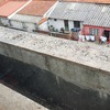 Outros Trabalhos De Jardinagem