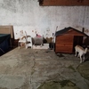 Remodelação De Pátio E Varanda