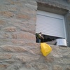 Projeto De Licenciamento