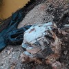 Poda Ou Remoção De árvore E Arbusto