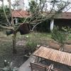 Manutenção De Jardim