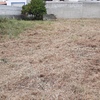 Construir Casa