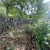 Muro em pedra