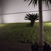 Construir Piscina