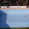 Reparação de piscina
