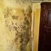Pintar Casa