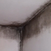 Outros Trabalhos De Remodelação Casa