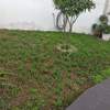 Construção De Jardim
